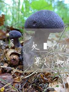 欠網(wǎng)貸兩年被訴訟會有什么后果？如何處理？
